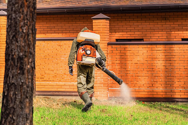 Trusted Cockroach Control service in Castlewood, VA - Nex Pest Control